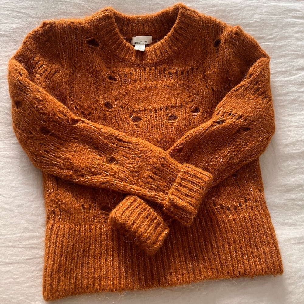 H&M Wool/Alpaca Blend Sweater